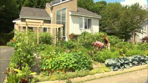 house and garden