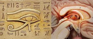 pineal gland and eye of horus